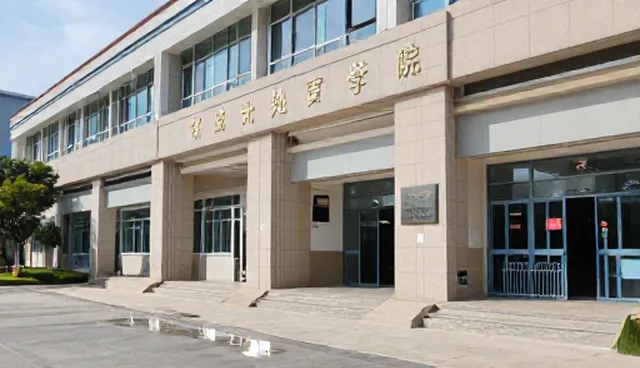 技术外包在应用开发中的性能瓶颈及优化方向